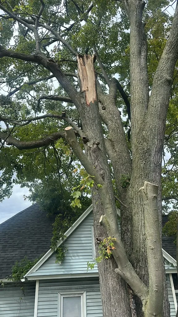 Storm Damage Cleanup Services
