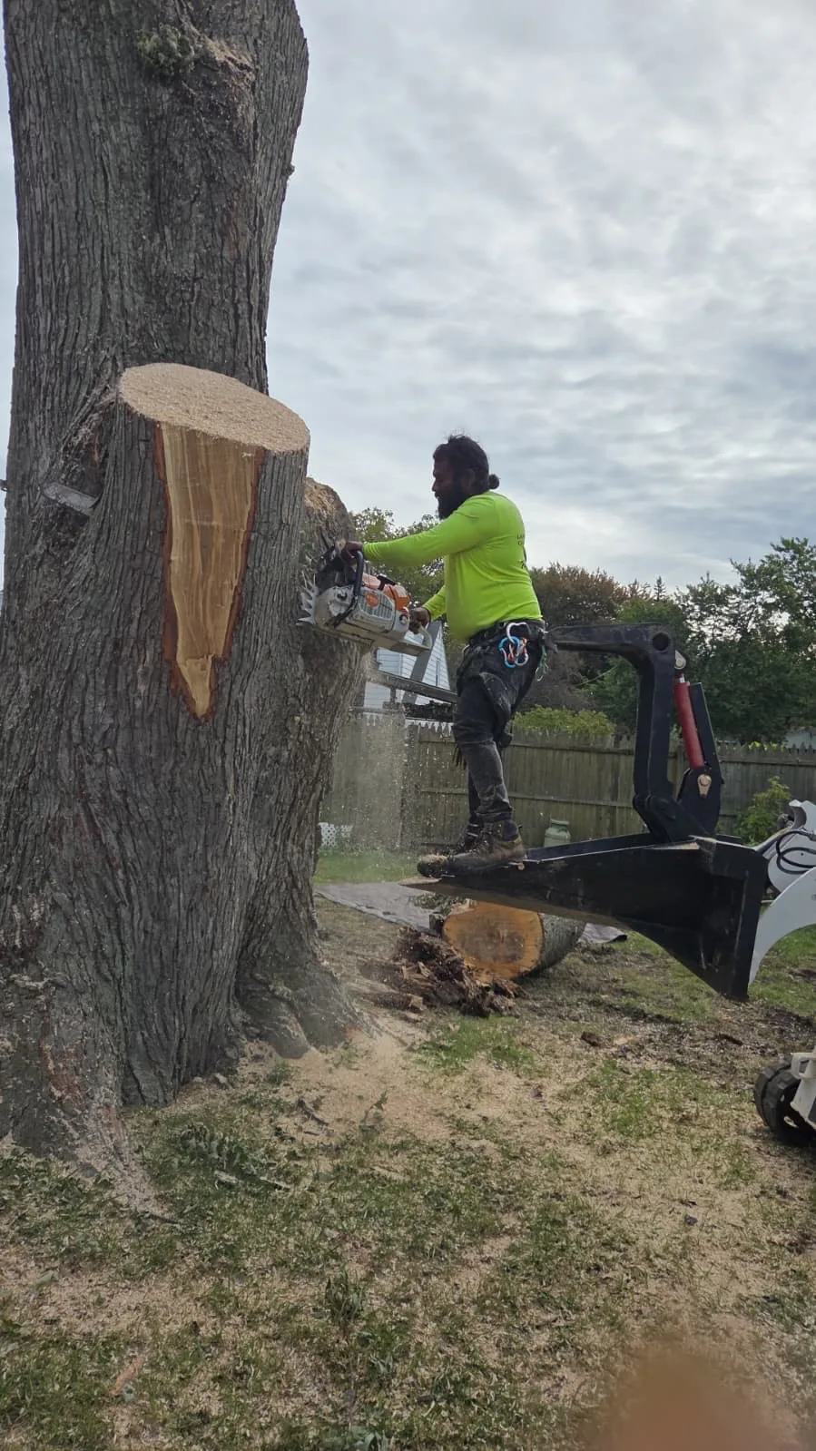 Tree Removal Services