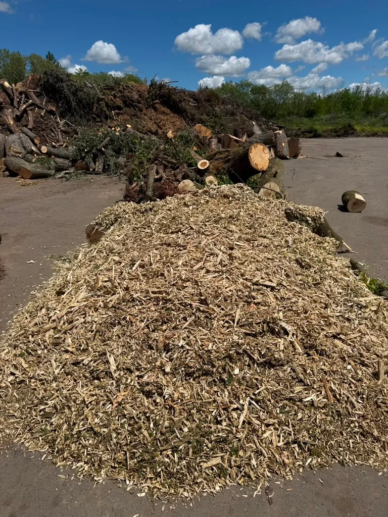 Wood chips and brush from tree removal and land clearing, ready for recycling